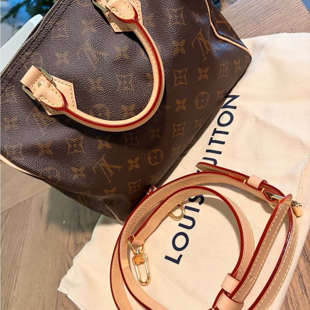 Louis Vuitton Brown and Tan Satchel